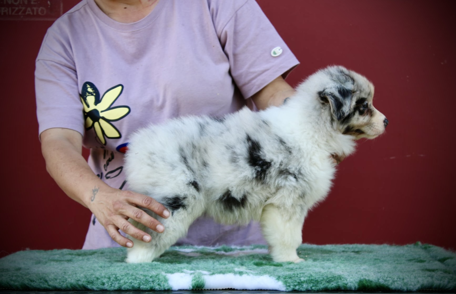 attLROpWz3iUw7t6I53xo MPMhYkIDCL3UdbK adIqVCRE