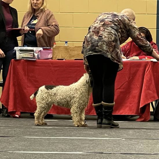 c498a64e 493f 4995 a8a3 213a0141a3b2