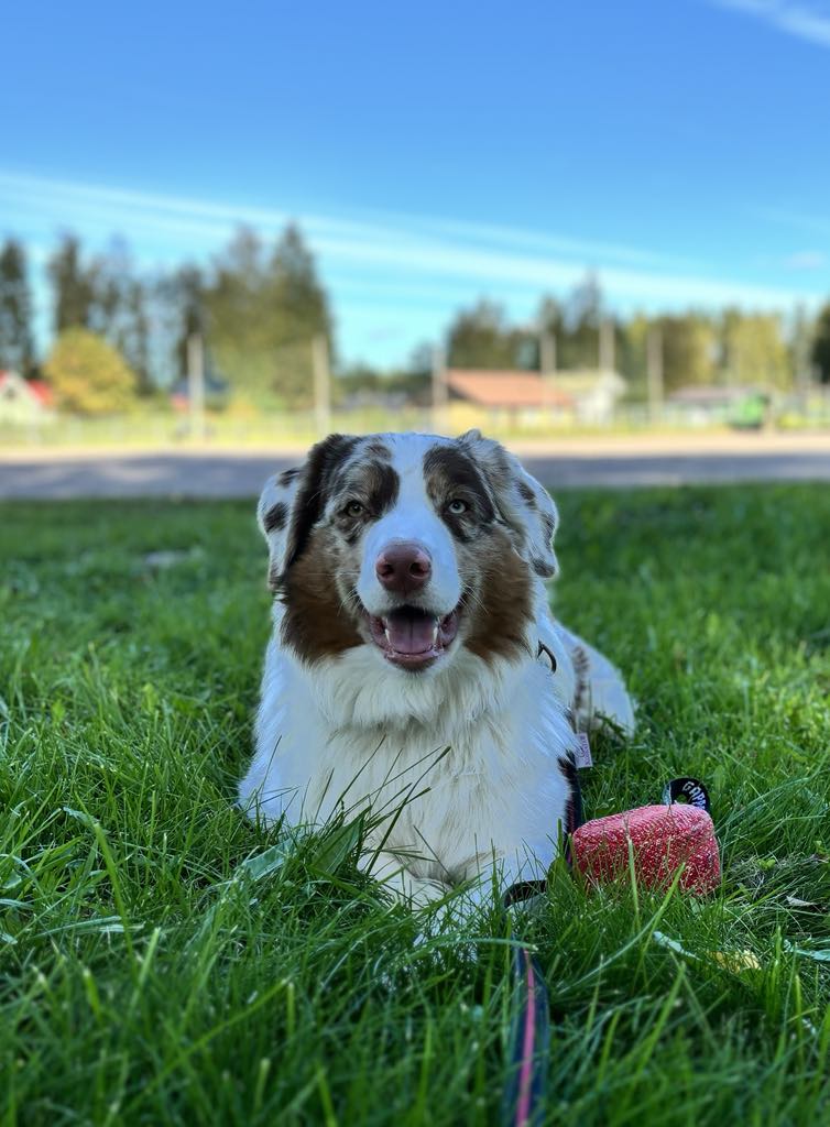 b33f26c1 17bb 49fb b5de b28873bb440b 1