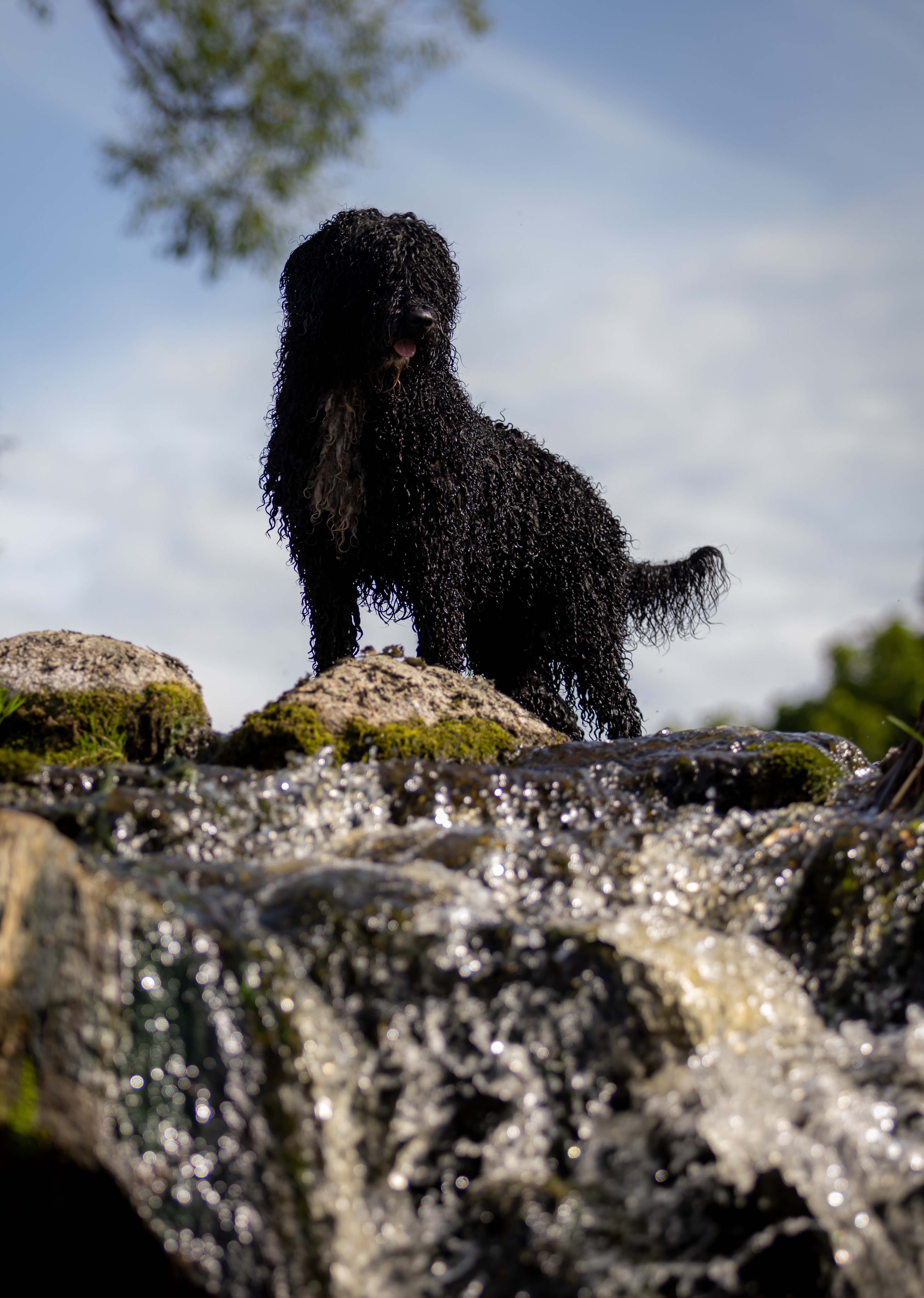 404E1C5D 4041 4363 B87D 9134759AB65E