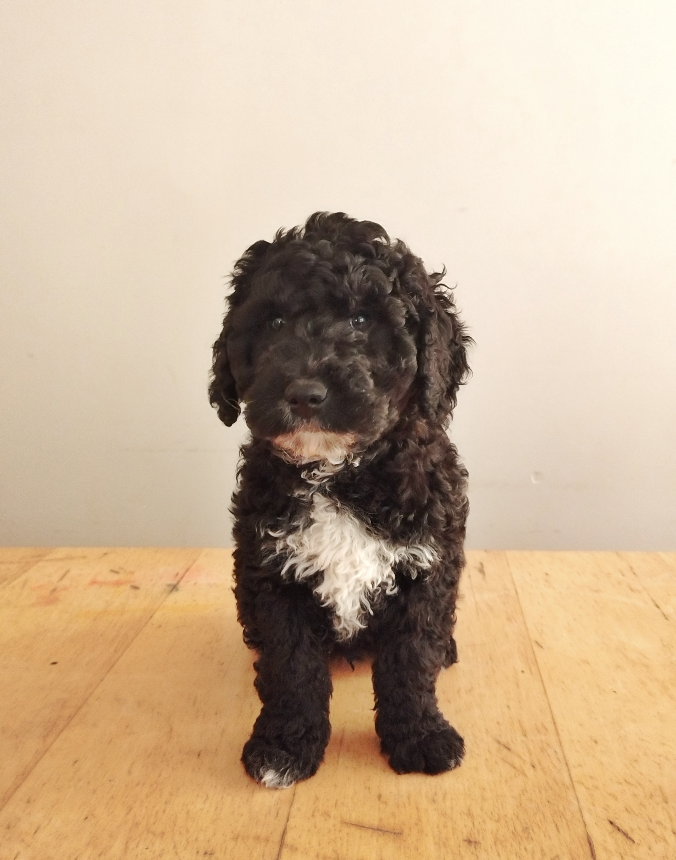 IMG 20230107 145738 01