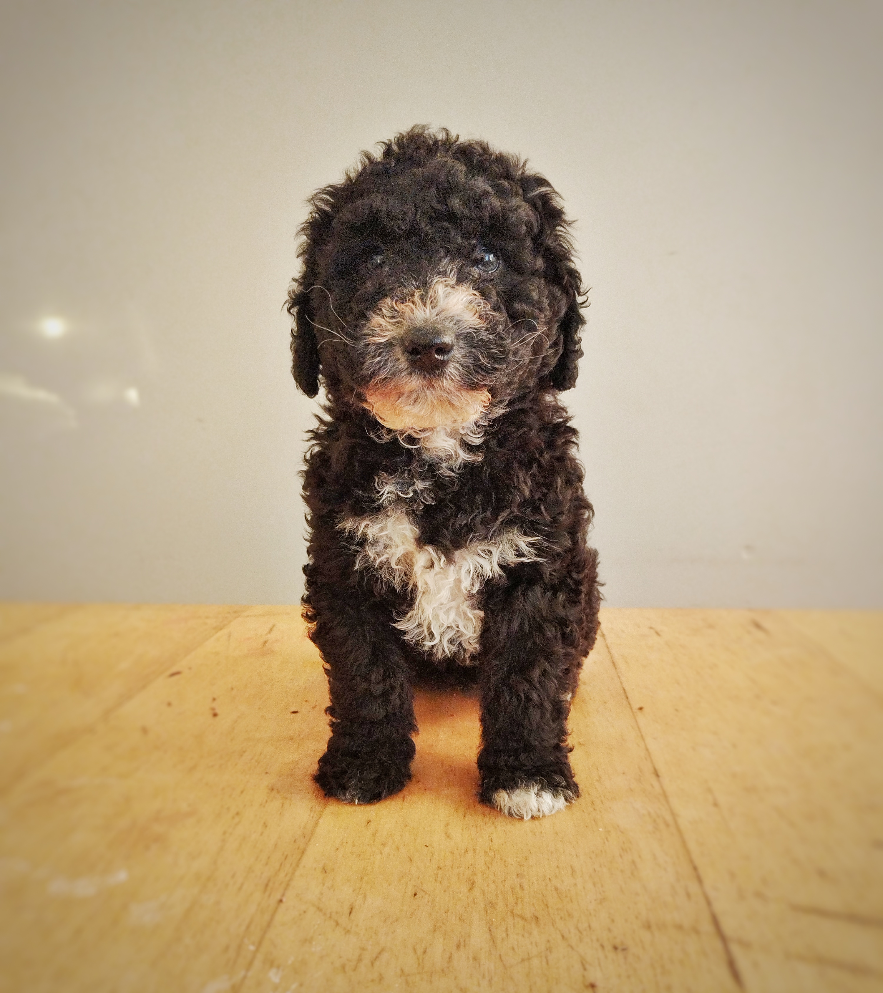 IMG 20230107 151212 01