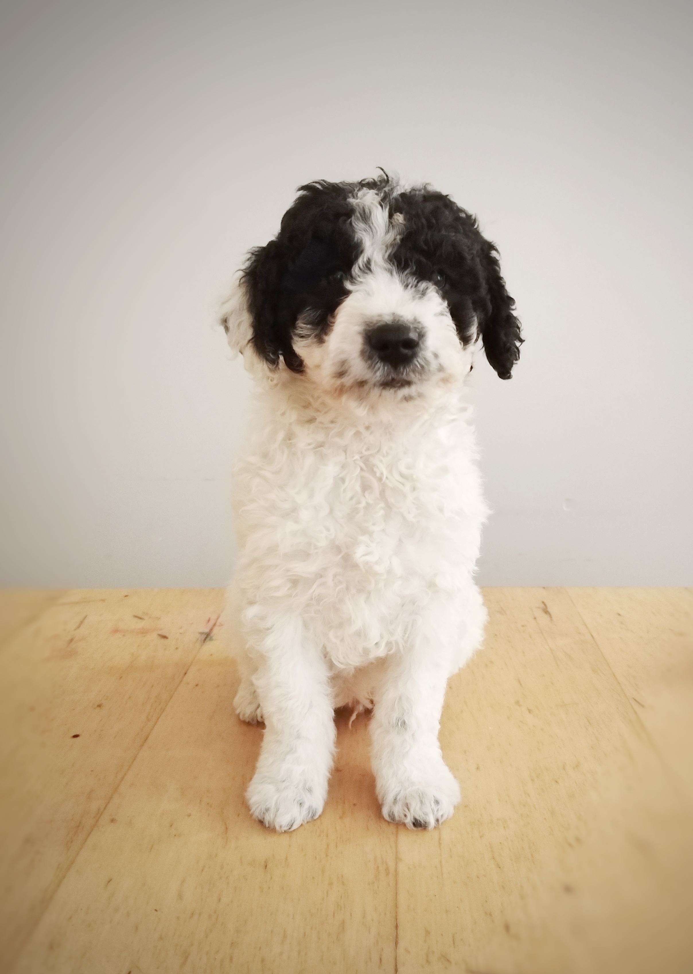 IMG 20230107 151928 01