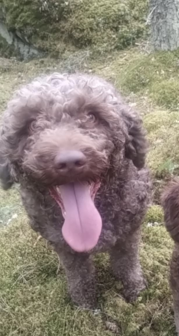 att 0i9AvvrNnhNZAIDs0ZwFL0YxmK8pB0rIXXEaUrqG5kpng